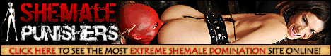 Punished by horny angry shemales
